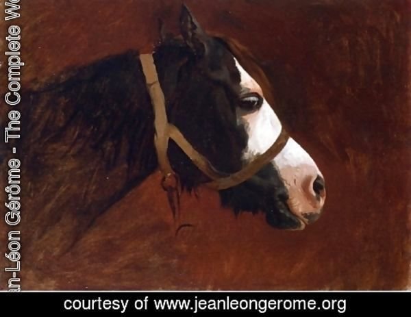 Jean-Léon Gérôme - Profile of a Horse