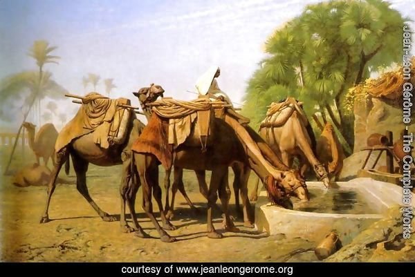 Camels at the Trough