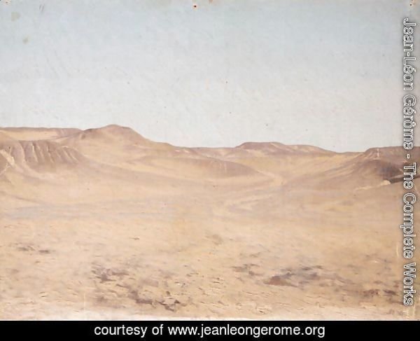 Wadi (Dry River Bed)